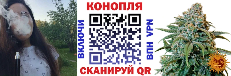 Где купить Пионерский COCAIN  Мефедрон  ГАШИШ  Псилоцибиновые грибы  Амфетамин  МАРИХУАНА  ГЕРОИН  СК 